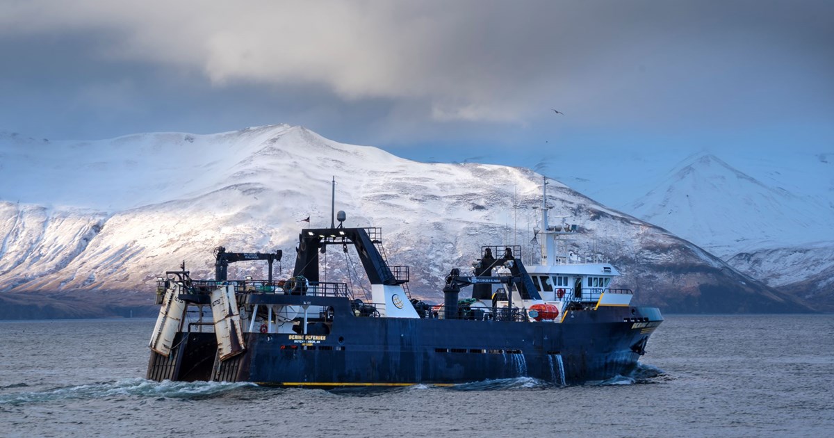 Alaska Fishing Jobs - Seafood Industry Employment | JobMonkey The 2020 A SEASON Opening of Wild Alaska Pollock Fishing ...
